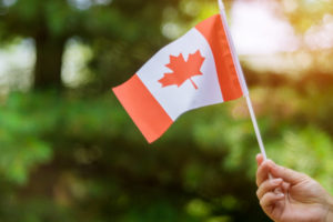 Reliable Homestay and Custodianship Companies in Canada