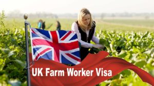 Seasonal Worker Visa