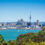 Homestay for Students in New Zealand